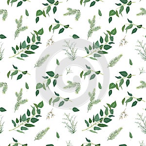 Tender, vector winter Christmas spruce tree branches, eucalyptus greenery leaves, green foliage, herbs seamless pattern. Rustic