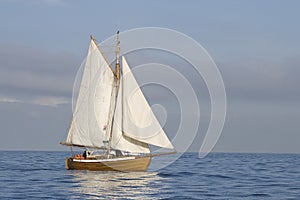 Tender with white sails