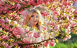 Tenderness and femininity. Cherry tree. Floral aroma. Reasons why flowers make women happy. Rest relax and vacation