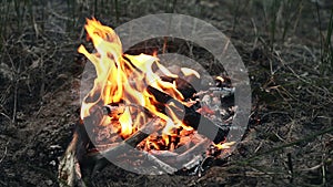 Tending outdoor campfire