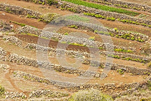 Tenerife Canarische Eilanden, Tenerife Canary Islands