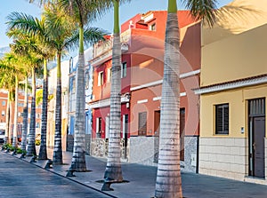 Colourful houses, palm on street Puerto de la Cruz town Tenerife Canary Islands