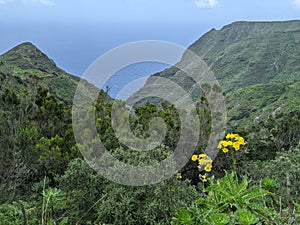 Tenerife island in Canary Islands in Spain