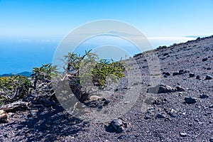 Tenerife and La Gomera viewed from Pico de la Nieve at La Palma, Canary islands, Spain photo