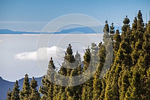 Tenerife landscape