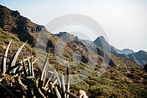 Tenerife, Masca valley. Mountains on Tenerife, Canary islans.