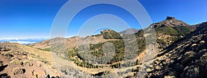 Tenerife, Spain: Teide National Park, landscape