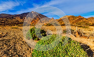 Tenerife teide photo