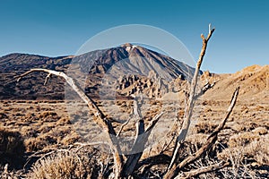 Tenerife Teide national park