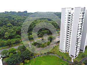 Tengah forest in Singapore