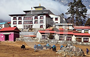 Tengboche Monastery, the best monastery in Khumbu valley