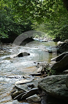 Tennessee Creek