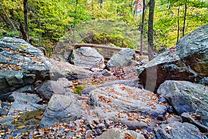 Tennessee Creek
