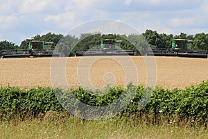 Tennessee Farmland 2019 I