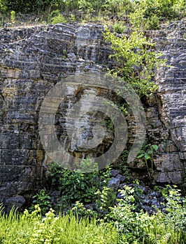 Tennessee Limestone Layers - sedimentary rock