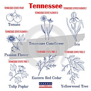 Tennessee. Set of USA official state symbols