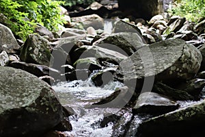 Tennessee Streams Summertime