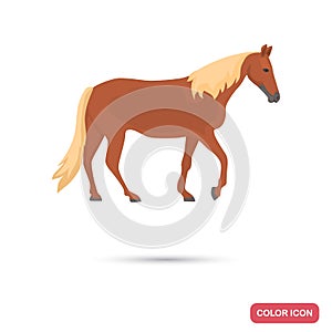 Tennessee walking horse color flat icon