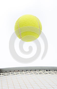 Tennis ball