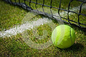 Pelota de tenis 