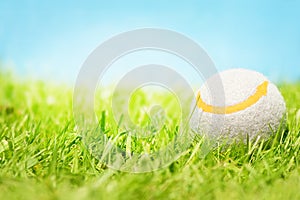 Tennis ball on grass