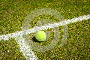 Tennis ball on a grass court