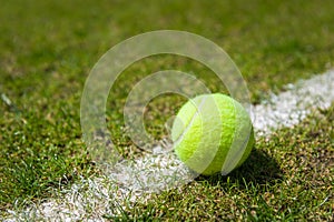 Tennis ball on a grass court