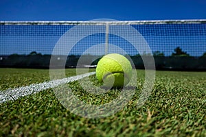 Tennis ball on grass tennis court