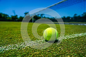 Tennis ball on grass tennis court