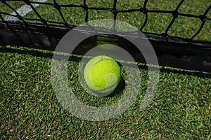 Tennis ball on grass tennis court