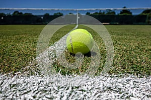 Tennis ball on grass tennis court