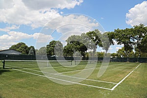 Tennis ball on grass tennis court