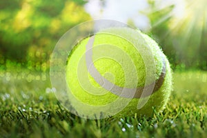 Tennis ball on green grass