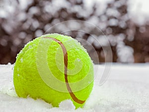 Tennis christmas ball on the snow on Christmas trees background, and falling snowflakes Sports card. Merry Christmas and Happy New