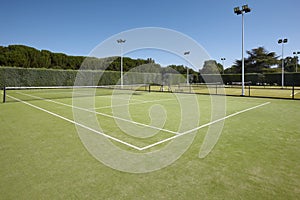 Tennis court with lamps and pine forest