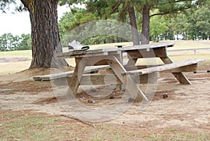 Tennis Shoe on A Picnic Table at Lake Quitman In East Texas