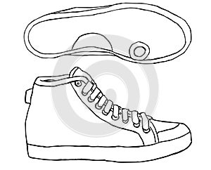 Tennis shoe on a white background