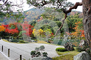 TenryÃÂ«-ji, a japanese zen garden photo