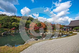 Tenryu-ji garden in fall, Arashiyama, Kyoto, Japan