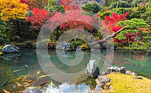 Tenryu-ji garden in fall, Arashiyama, Kyoto, Japan photo