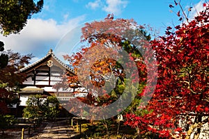 Tenryu-ji temple at autumn, Arashiyama