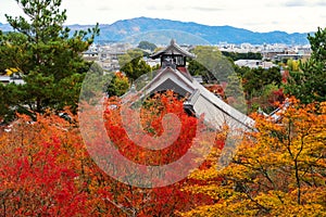 Tenryu-ji temple with autumn leaf color, Arashiyama