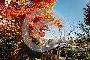 Tenryu-ji temple and Sogenchi garden with autumn season colorful