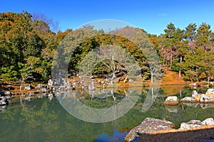 Tenryu-ji, a venerable Zen temple at Arashiyama, Susukinobabacho, Sagatenryuji, Ukyo