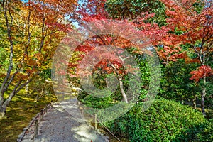 Tenryuji Sogenchi Garden in Kyoto