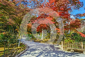 Tenryuji Sogenchi Garden in Kyoto