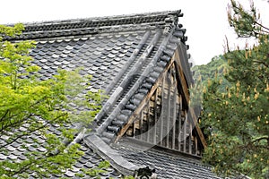 Tenryuji temple garden