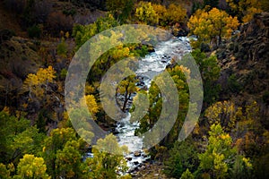 Tensleep Creek Wyoming Fall Colors