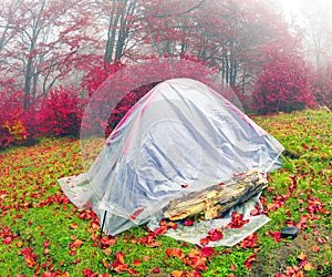 Tent backfilled yellow leaves