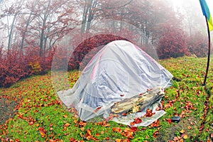 Tent backfilled yellow leaves